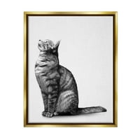 Студел индустрии Човек мачка седи мирно детална лежерна портрет графичка уметност металик злато што лебди
