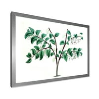 Дизајн на „Антички зелени лисја растенија I“ Традиционален врамен уметнички принт